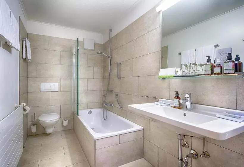 クラシックルーム, Brugger  S Hotelpark Am Titisee
