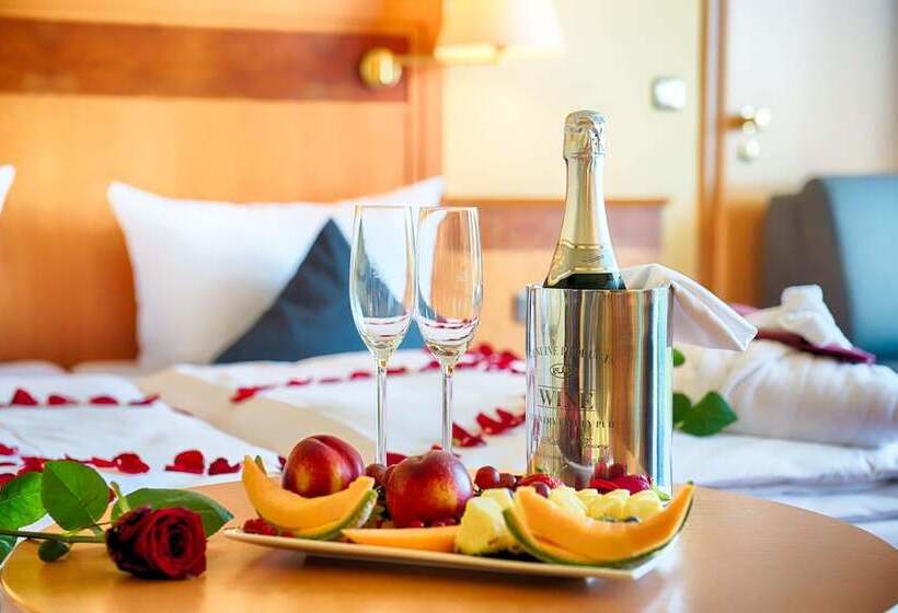 חדר סופריור, Achat Hotel Bad Dürkheim