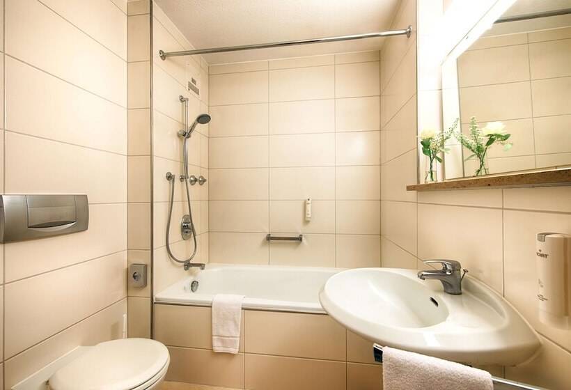 חדר ביזנס, Achat Hotel Bad Dürkheim