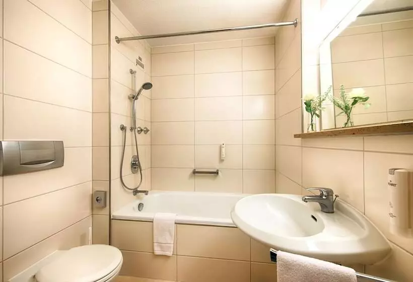 ビジネスルーム, Achat Hotel Bad Dürkheim