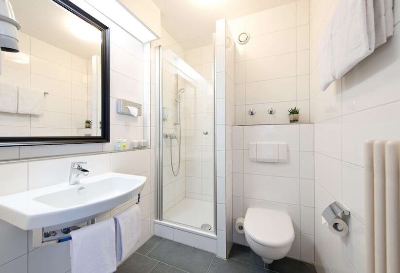 Номер бизнес-класса, Achat Hotel Neustadt An Der Weinstraße