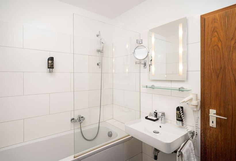 اتاق اکونومی یک تخته, Arthotel Ana Eden