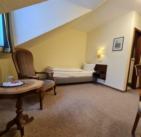 اتاق استاندارد یک نفره, Bürgerhof Wetzlar
