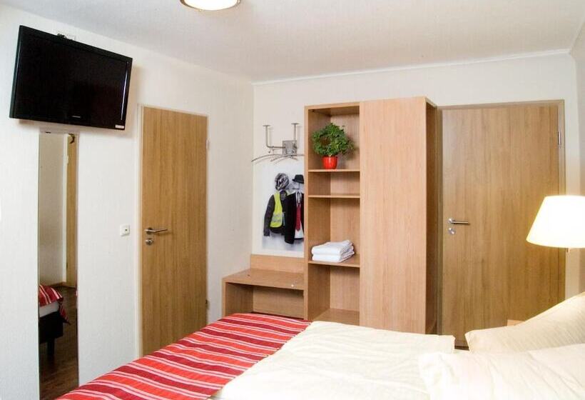 Номер Стандарт, Hauer