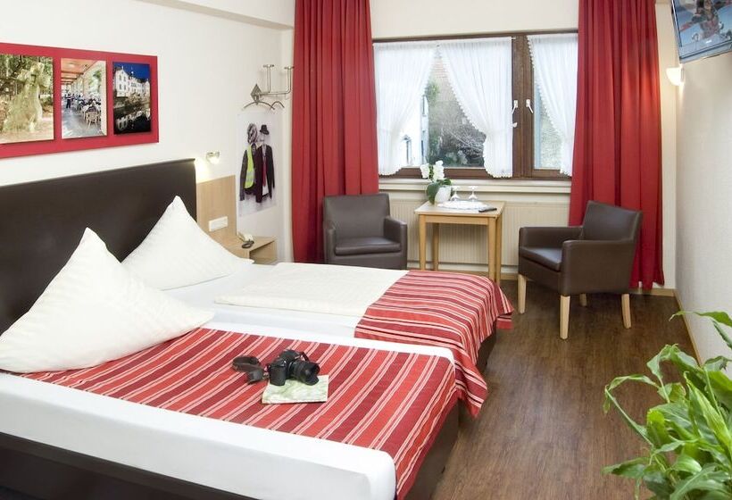 Номер Стандарт Индивидуальный, Hauer