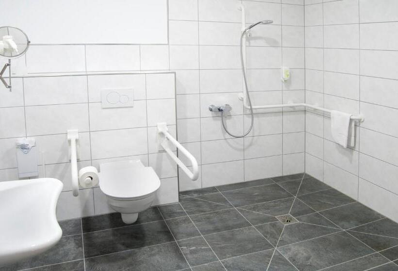 Номер Стандарт Адаптированный для Инвалидов, Hauer