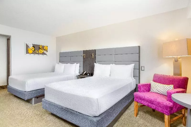 اتاق استاندارد, Hilton Mainz