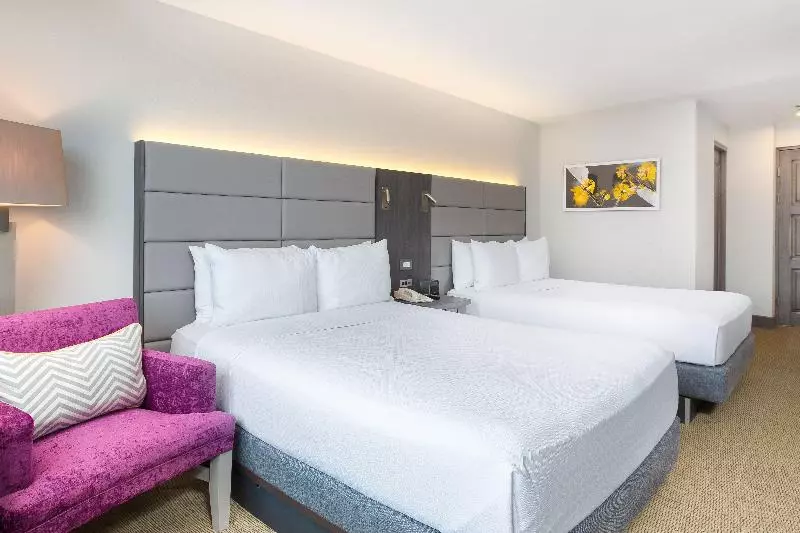 اتاق استاندارد, Hilton Mainz