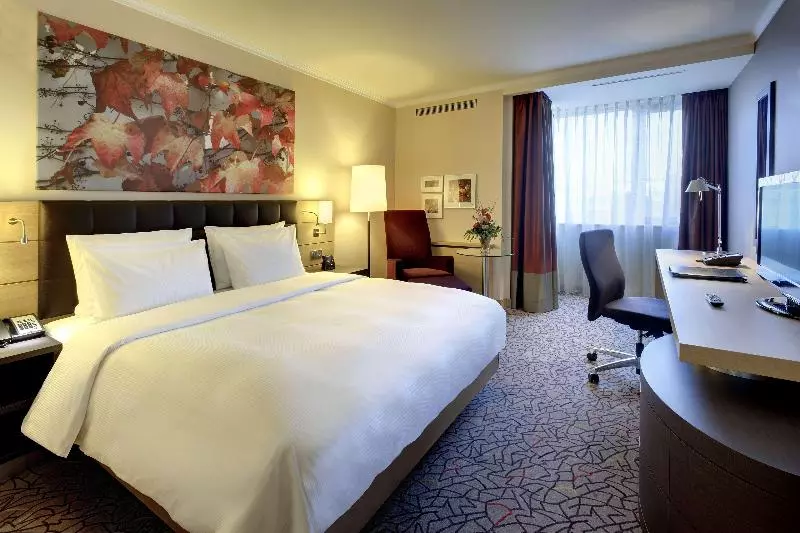 اتاق استاندارد با تخت بزرگ, Hilton Mainz