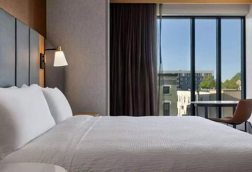 اتاق استاندارد با تخت بزرگ, Hilton Mainz