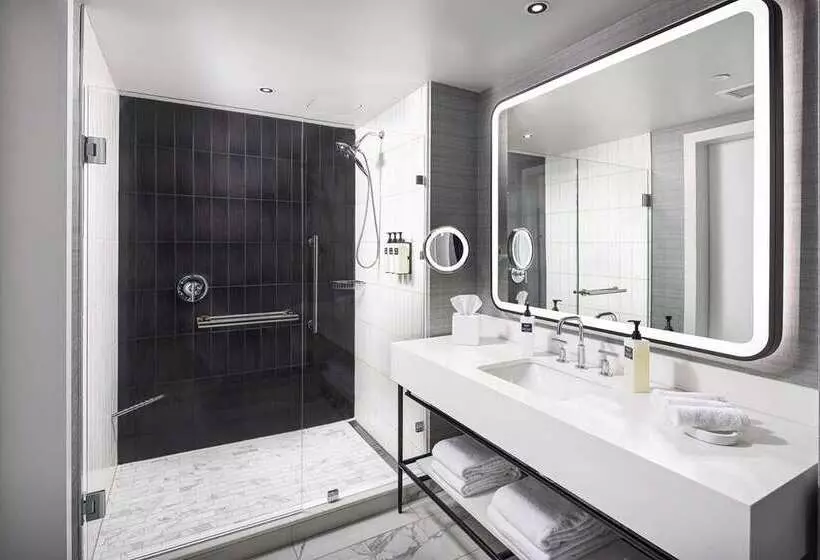 اتاق استاندارد با تخت بزرگ, Hilton Mainz