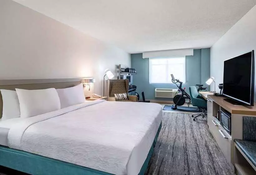 اتاق استاندارد با تخت بزرگ, Hilton Mainz
