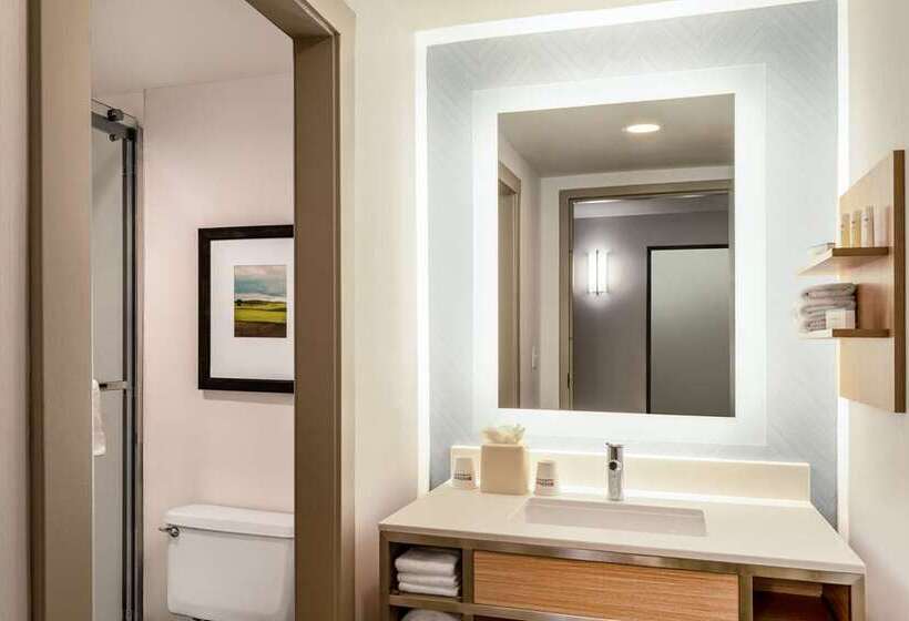 חדר סטנדרט עם מיטת קינג, Hilton Mainz