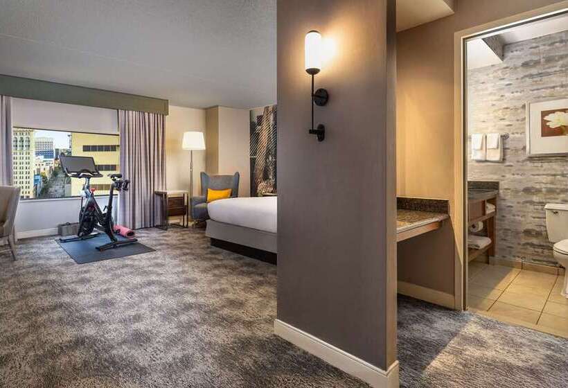 חדר סטנדרט עם מיטת קינג, Hilton Mainz