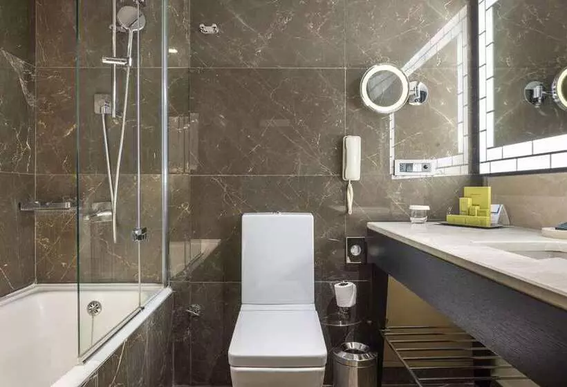 اتاق اجرایی, Hilton Mainz