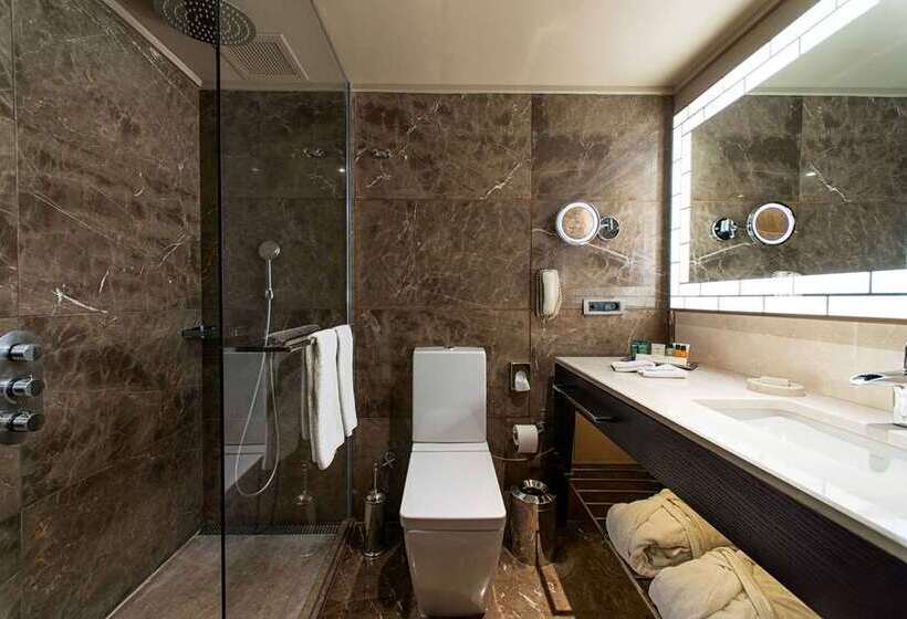 חדר אקזקיוטיב, Hilton Mainz