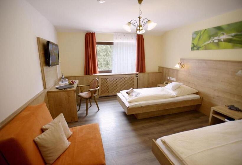 غرفة قياسية, Landgasthof Sonne