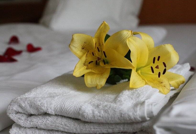 Номер Стандарт, Mainbogen