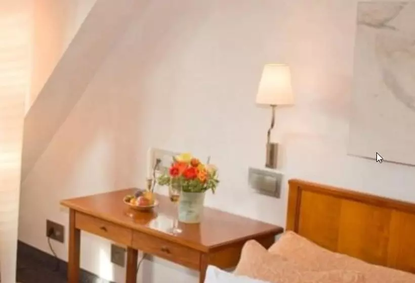 Deluxe Yhden Hengen Huone, Zum Roten Bären