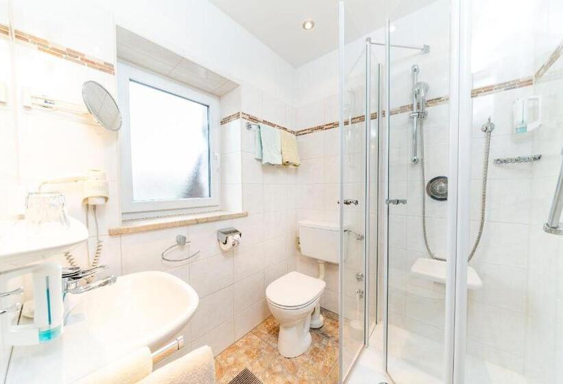 Comfort room with balcony, Alpenhof