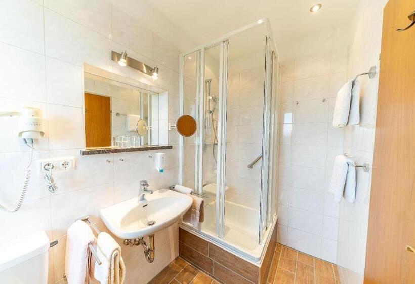 Comfort room with balcony, Alpenhof