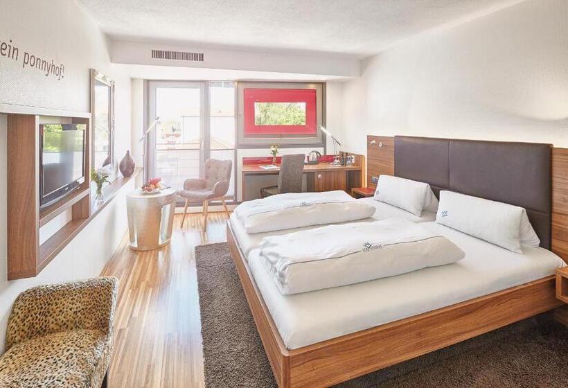 スタンダードルーム, City Krone