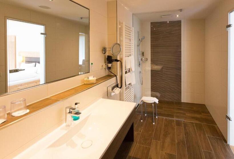Полулюкс Повышенной Комфортности, Dirsch Wellness & Spa Resort