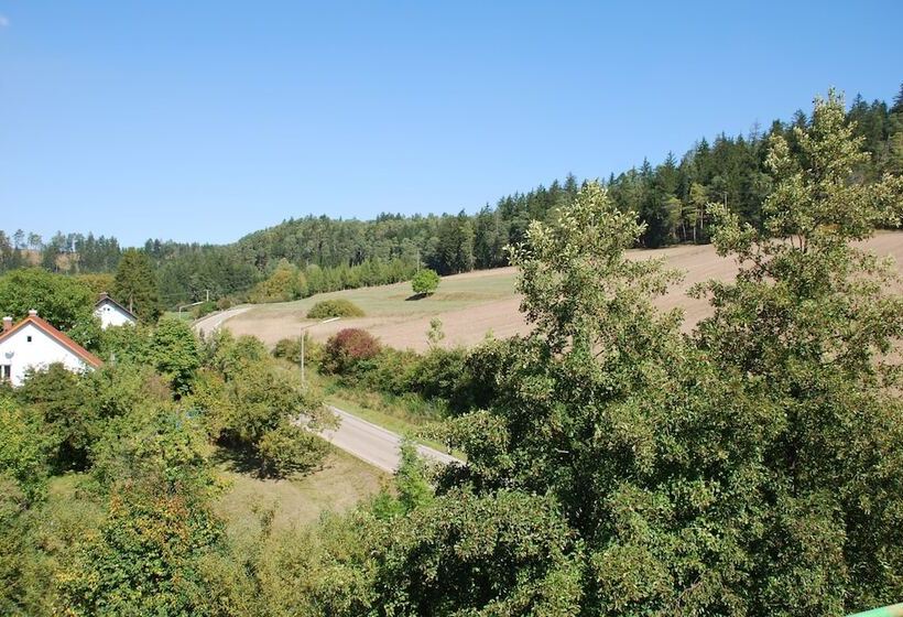 コンフォートルーム, Dirsch Wellness & Spa Resort