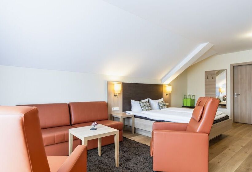 Полулюкс Повышенной Комфортности, Dirsch Wellness & Spa Resort