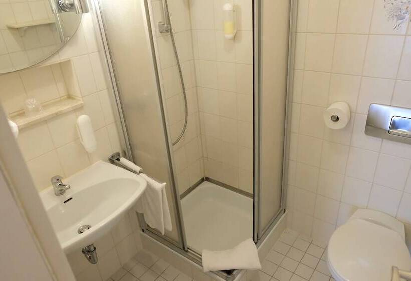 חדר סטנדרט, Romantica Hotel Blauer Hecht