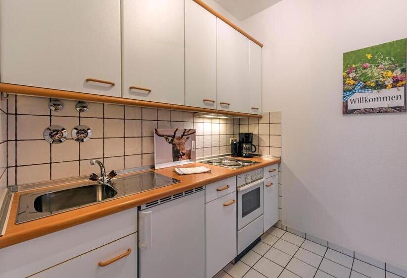 Апартаменты 1 Спальня с Балконом, Ruhpoldinger Hof