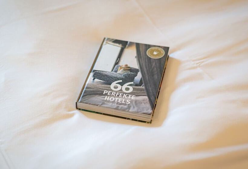 舒适型单人间, Stachus