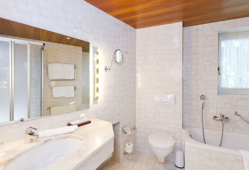 수피리어 룸 산전망, Wittelsbacher Hof Swiss Quality