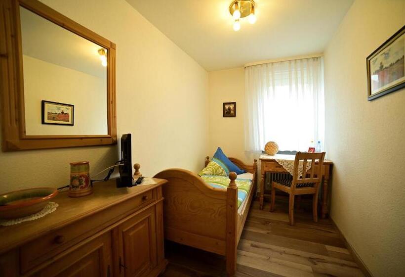 스탠다드 싱글 룸, Zrenners Garni