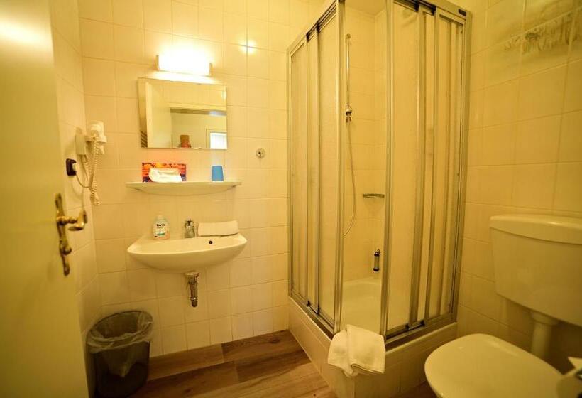 스탠다드 싱글 룸, Zrenners Garni