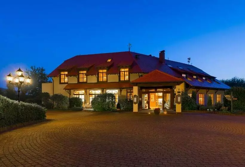 コンフォートシングルルーム, Krone Am Park   Gästehaus Des Hotel Krone