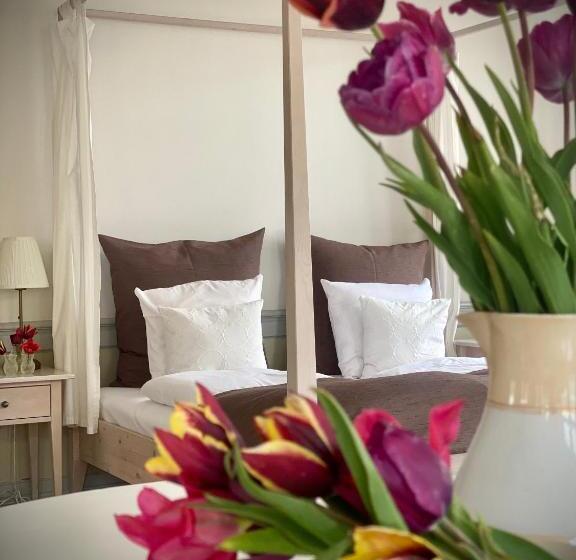 סוויטה, Brødremenighedens