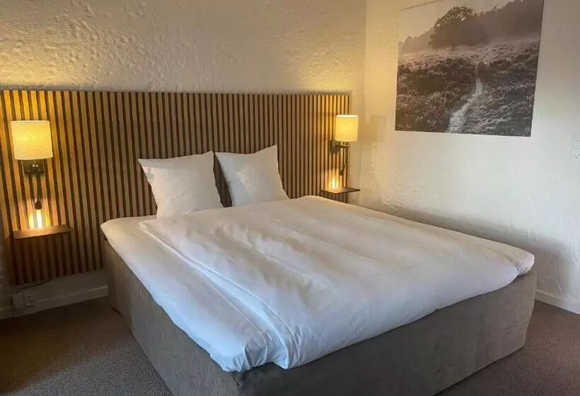 Quarto Superior, Dalgas