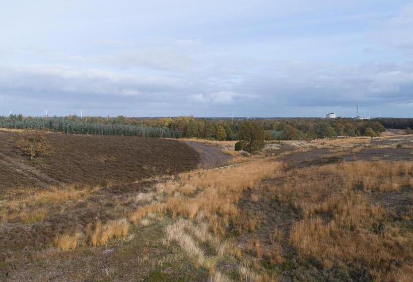 スタンダードプラスルーム, Dalgas