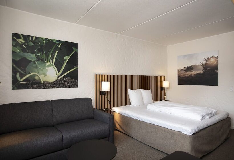 スーペリアールーム, Dalgas