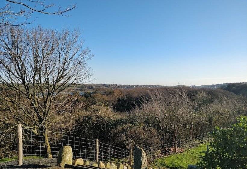 수피리어 룸, Vfjorden