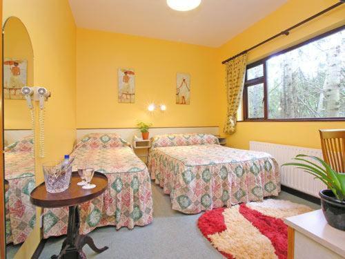 Camera Standard, 19th Green Guesthouse