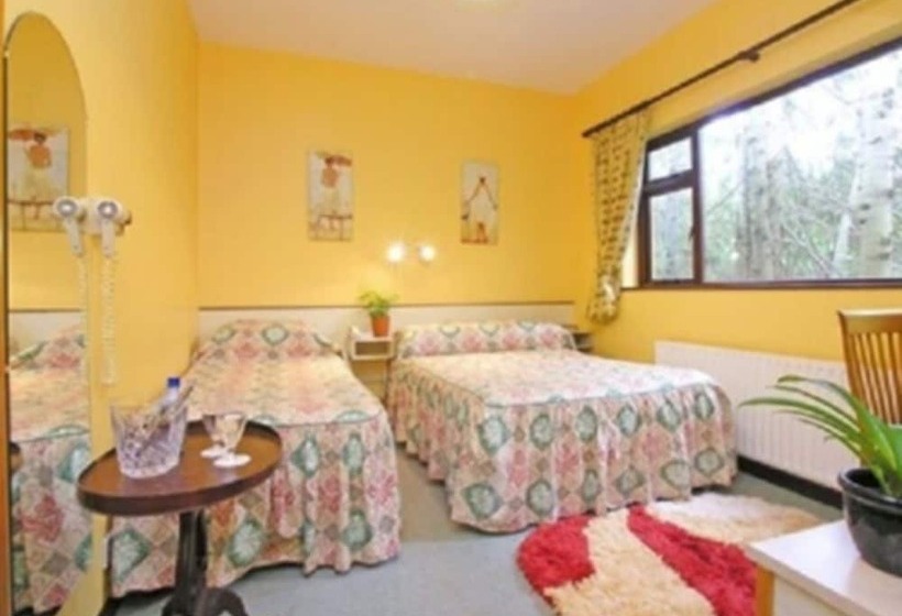 ファミリールーム, 19th Green Guesthouse