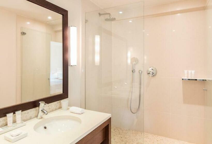 公園の見えるスタンダードルーム, Anne De Bretagne