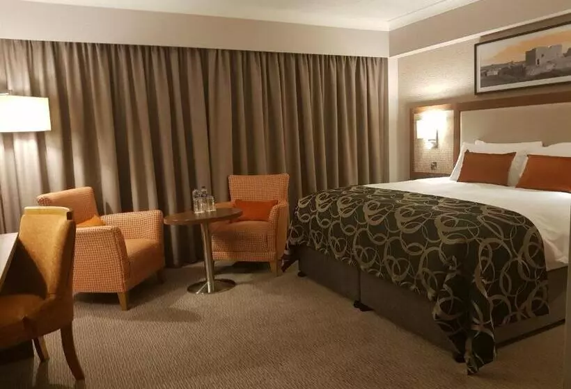 キングサイズベッドのエクゼクティブルーム, Clayton Hotel Silver Springs