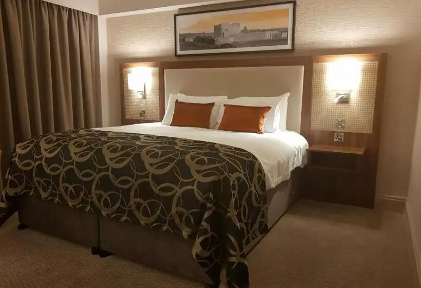 キングサイズベッドのエクゼクティブルーム, Clayton Hotel Silver Springs
