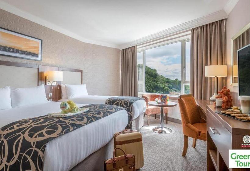 싱글 디럭스 룸, Clayton Hotel Silver Springs