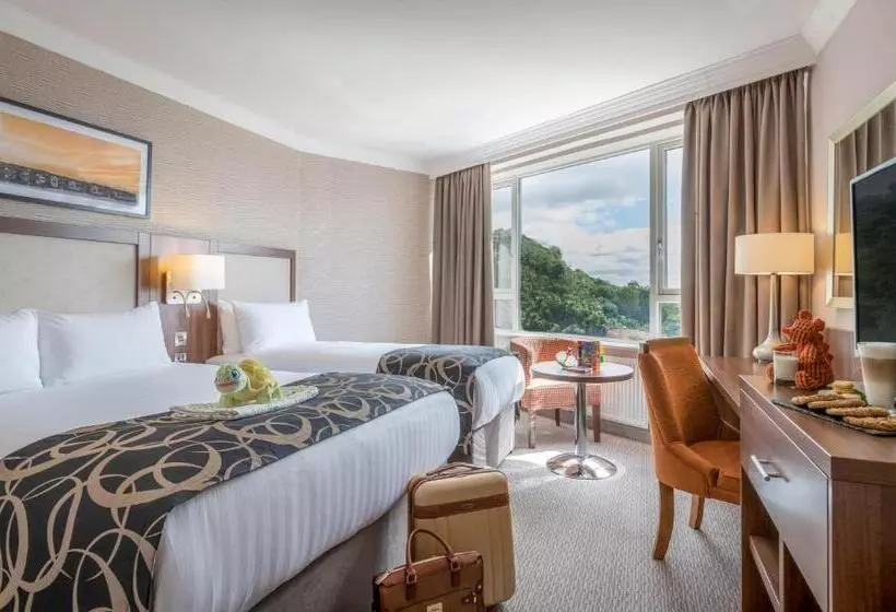 シングルデラックスルーム, Clayton Hotel Silver Springs