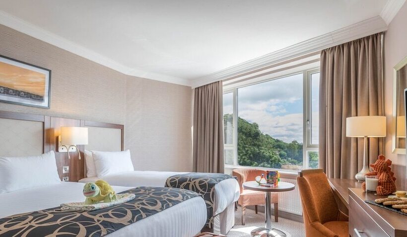 غرفة ديلوكس فردية, Clayton Hotel Silver Springs