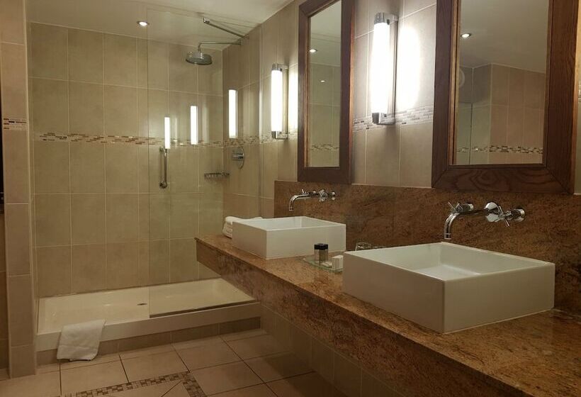 غرفة ديلوكس, Clayton Hotel Silver Springs